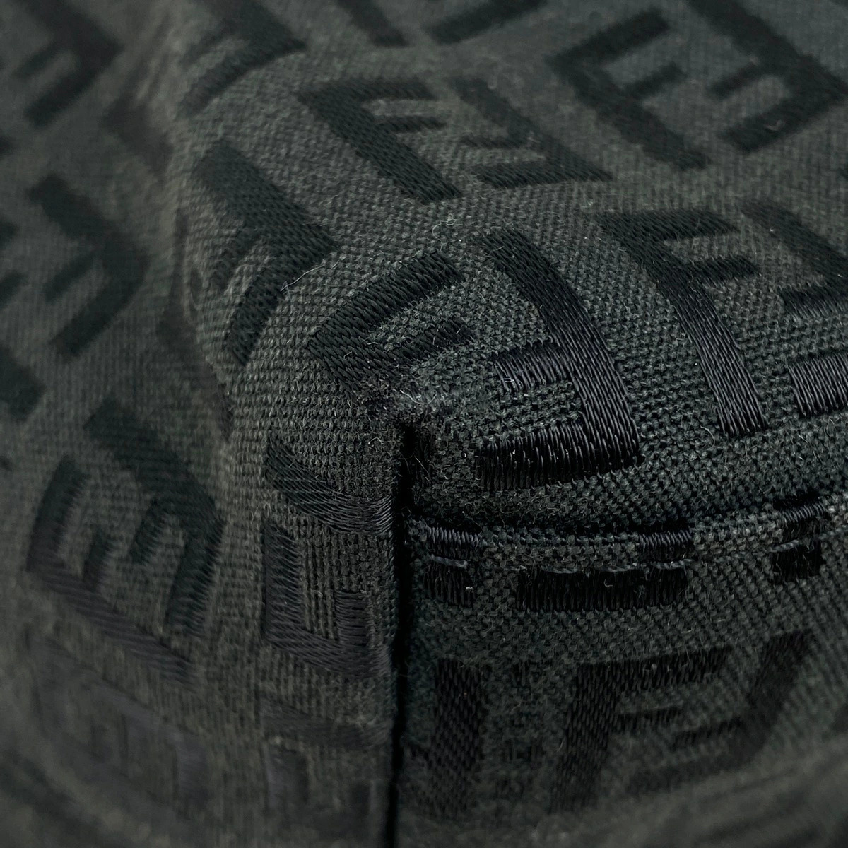 Fendi Bag Handbag Tote Black Canvas Zucchino